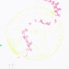 05d8aeffe66b252b04558bf4ab9de682.jpg